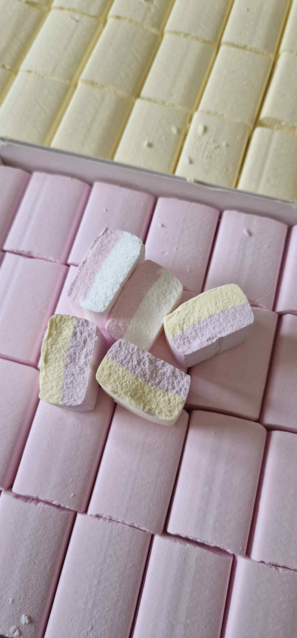 Sherbet Ice Blocks!