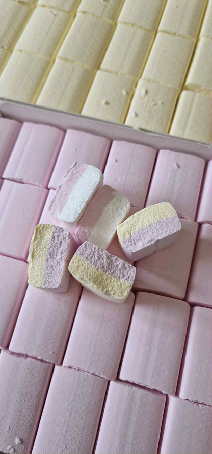 Sherbet Ice Blocks!